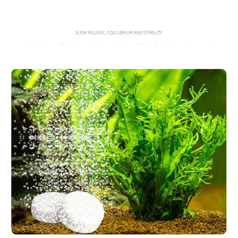 ISTA  Fish Tank Aquarium CO2 T - Aquarium Plant Fertilizer 评论和价格