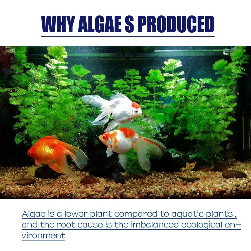 50g High Efficiency Algaecide  - Planted Aquarium Algae Control 评论和价格