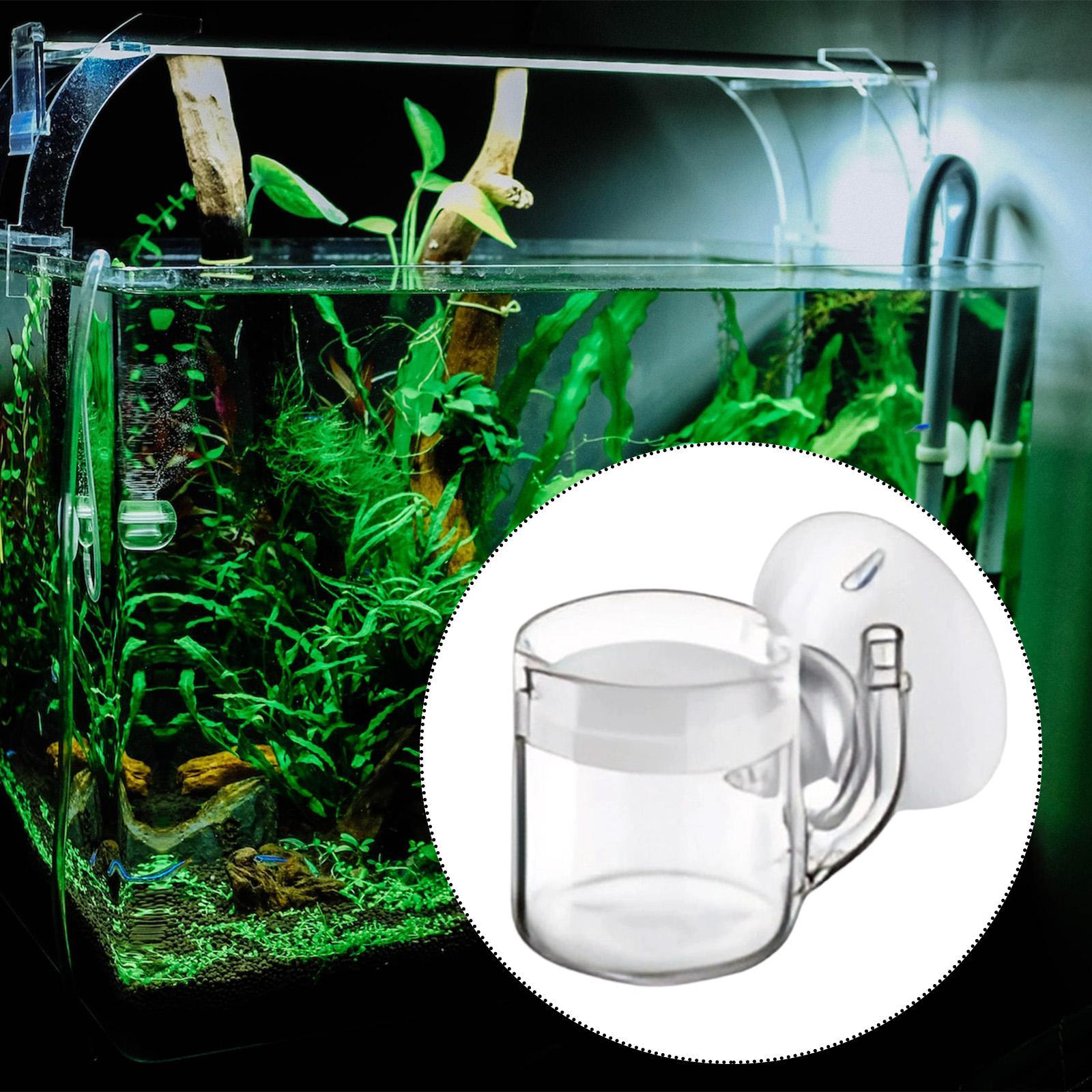 CO2 Aquarium Diffuser Glass Ma - Aquarium Planted Tank Setup 评论和价格