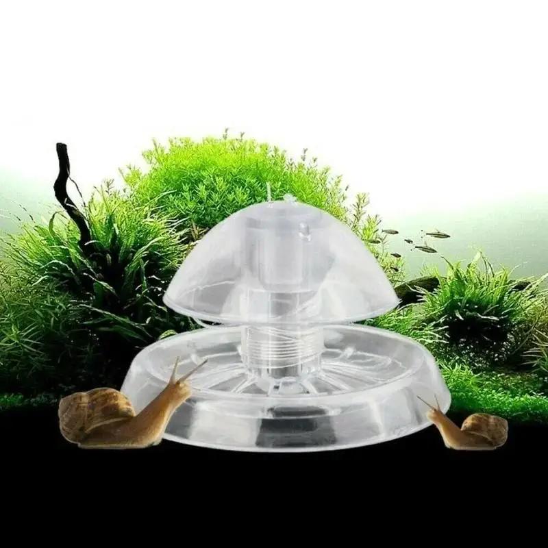 2026 New 6/8CM Clear Plastic S - Aquarium For Planted Tank 评论和价格