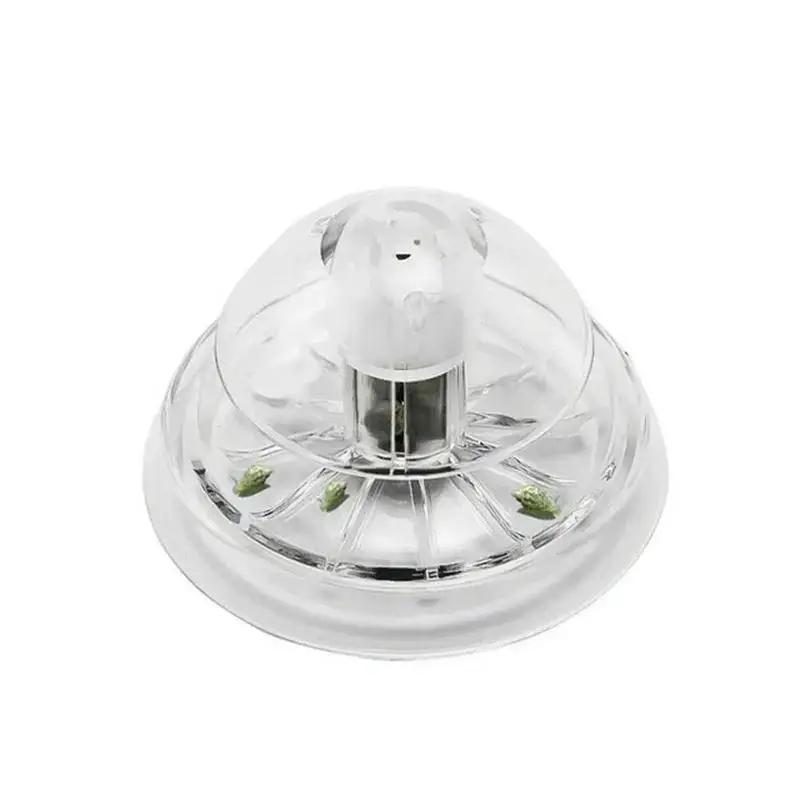 2026 New 6/8CM Clear Plastic S - Aquarium For Planted Tank 评论和价格
