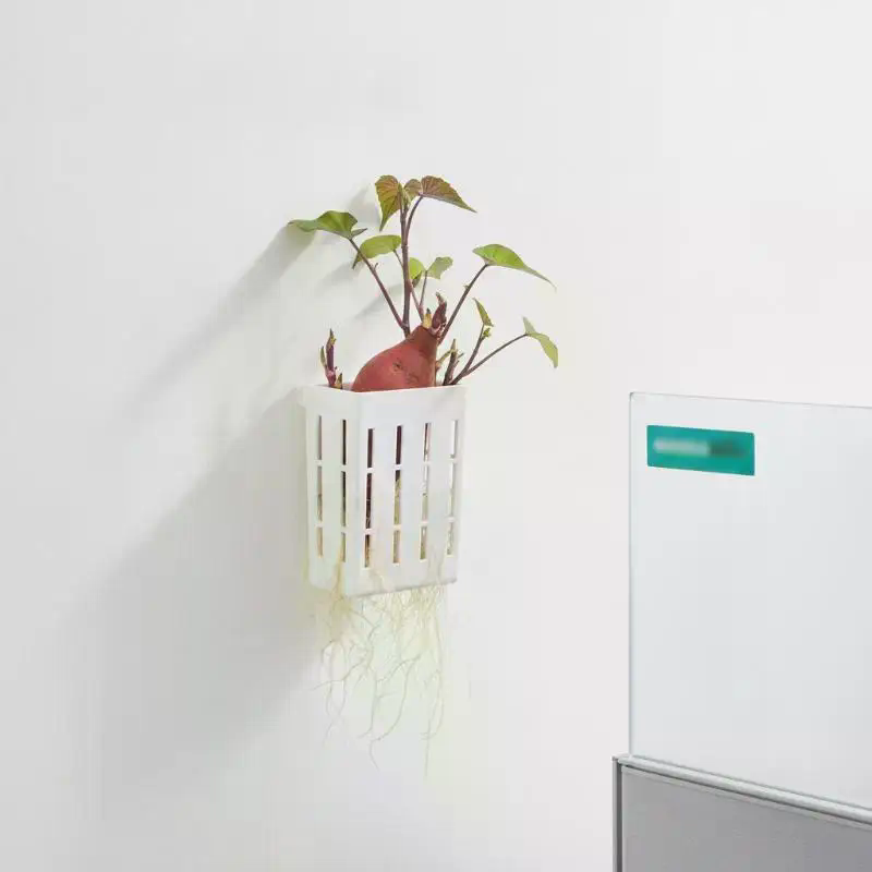 1Pcs Hydroponic Support Basket - Aquarium For Planted Tank 评论和价格