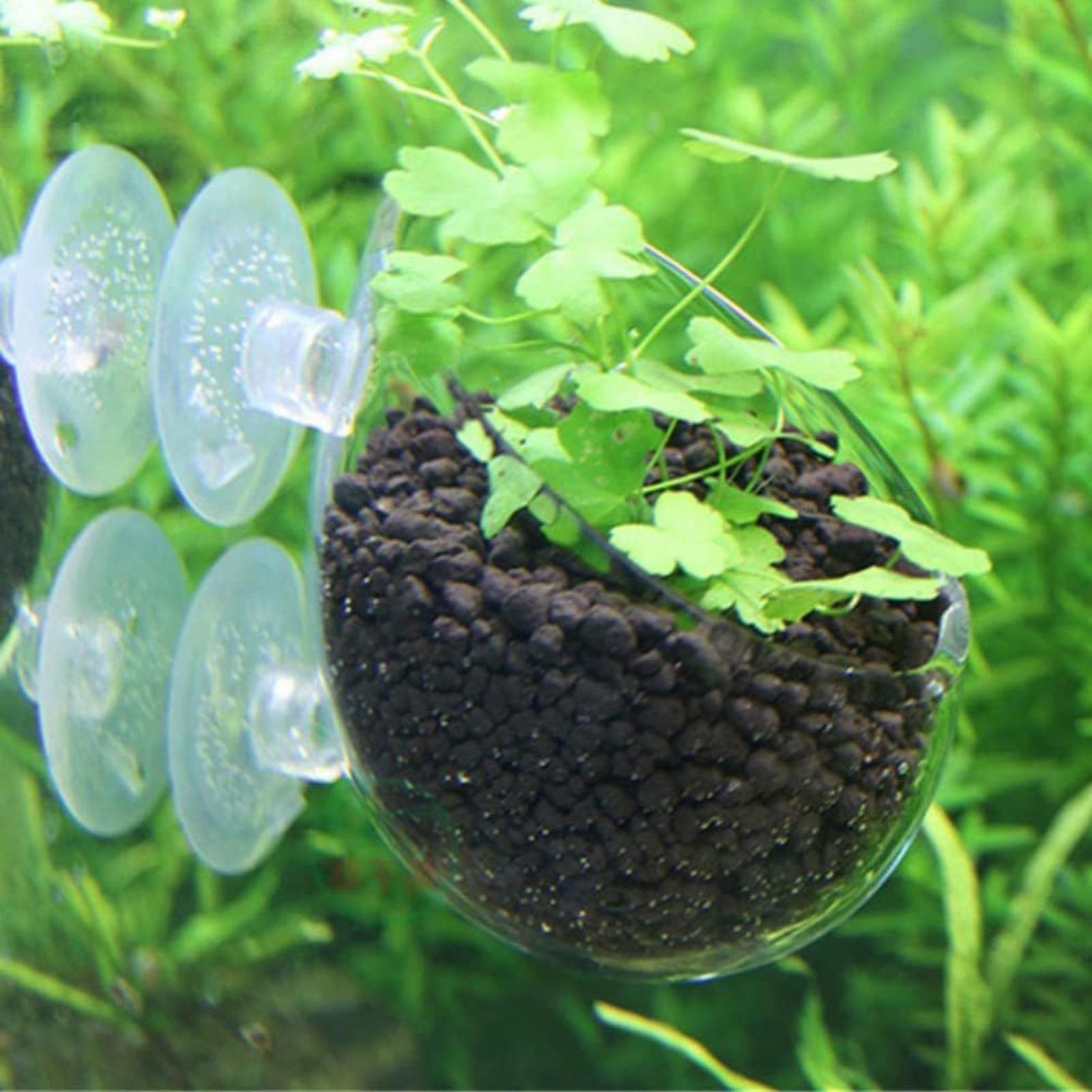 Aquarium Plant Holder Glass Aq - Aquarium Plant Ornament 评论和价格