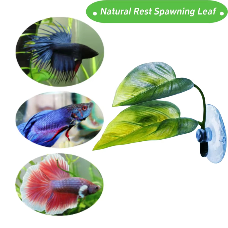 Aquarium Pet Supplies Decorati - Aquarium For Planted Tank 评论和价格
