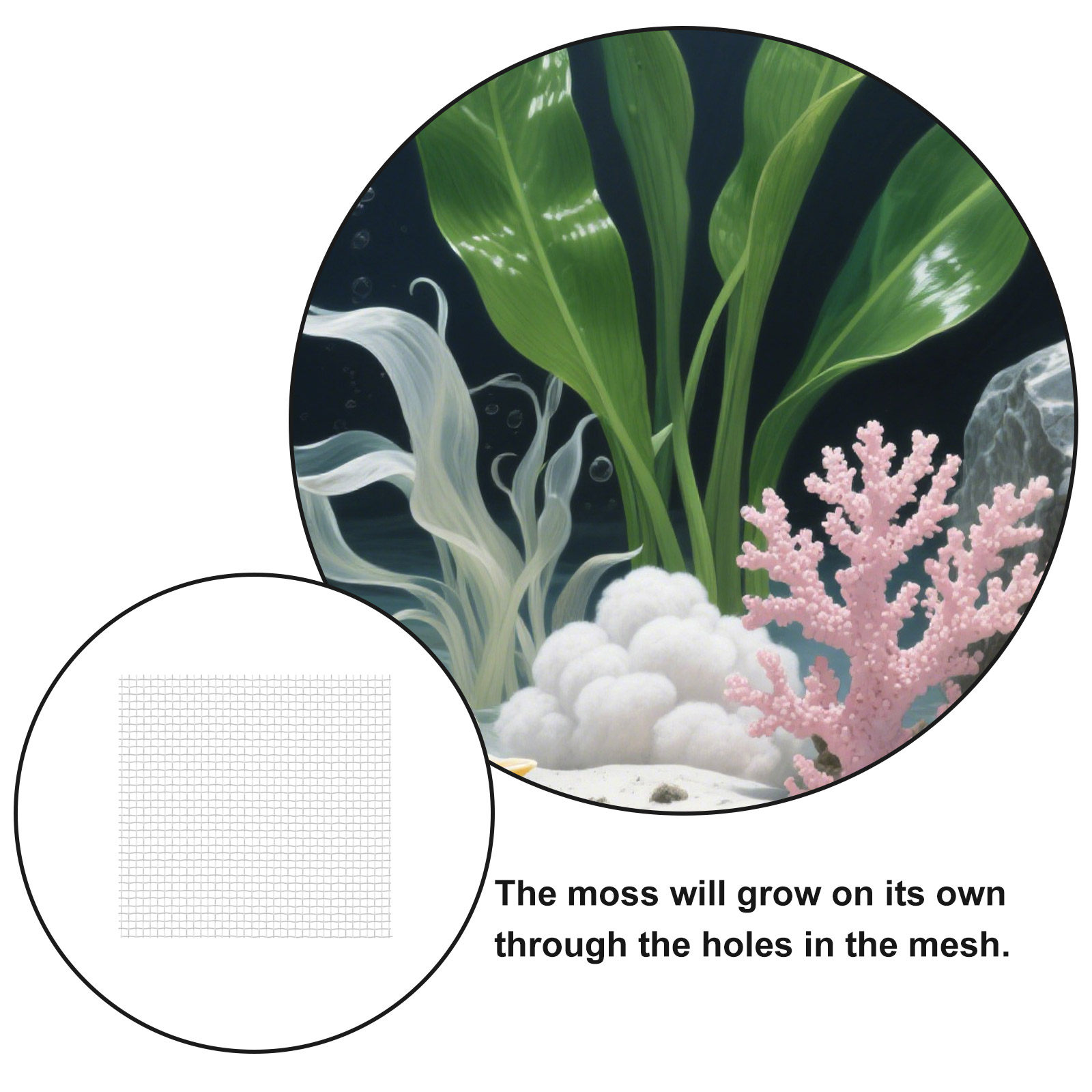 12Pcs Stainless Steel Wire Mes - Aquarium Planted Tank Setup 评论和价格