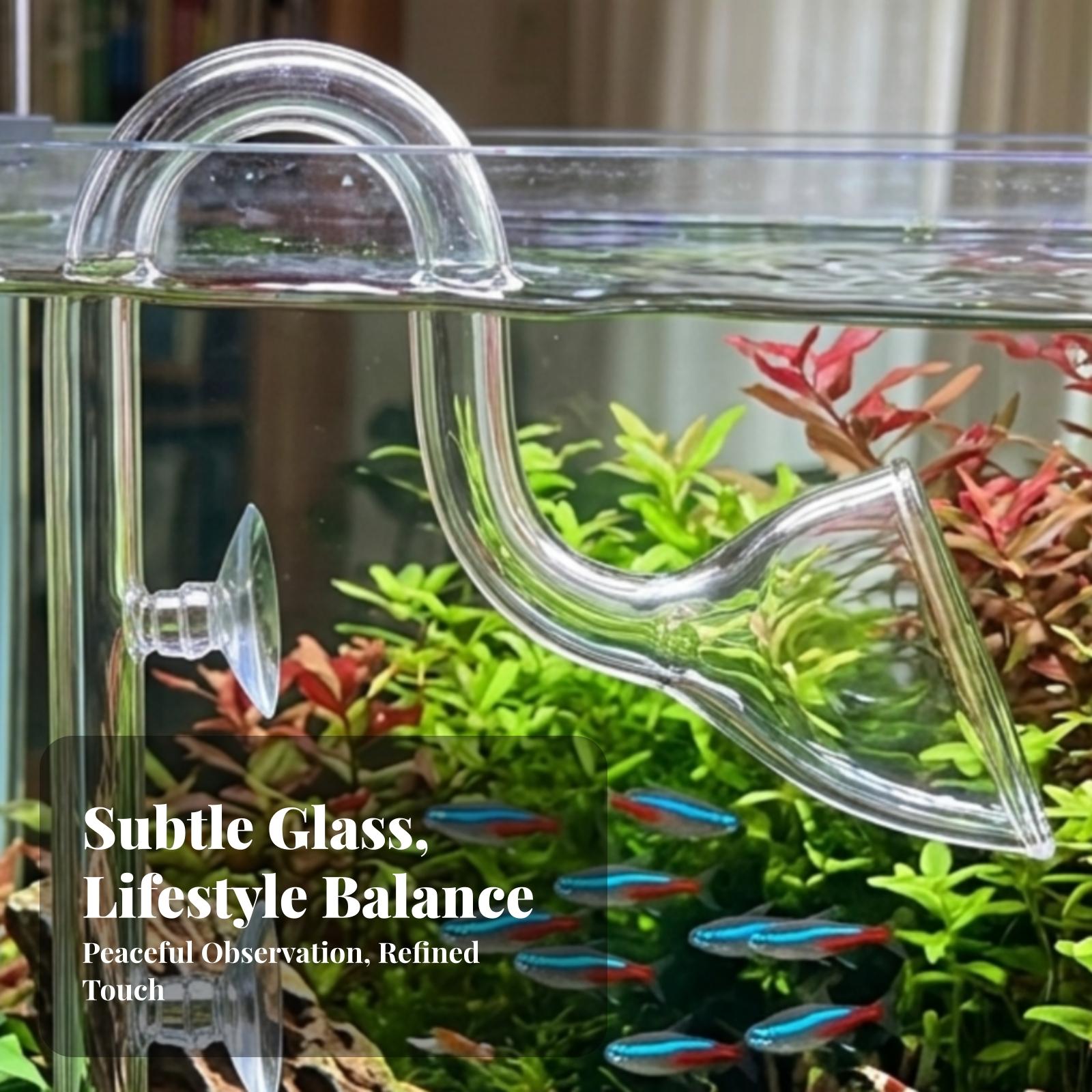 Aquarium Filter Inlet and Outl - Aquarium For Planted Tank 评论和价格