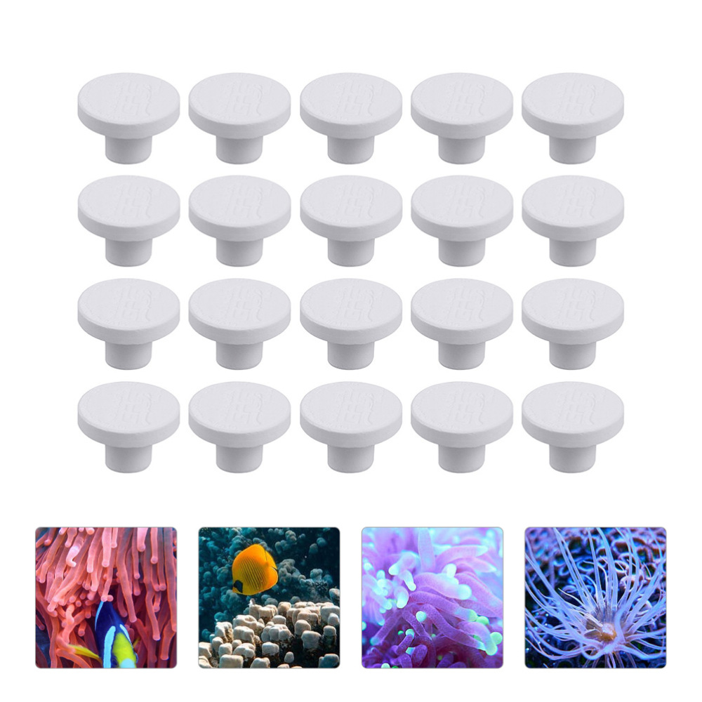 SPS Ceramic Coral Frag Plugs B - Aquarium Plant Ornament 评论和价格