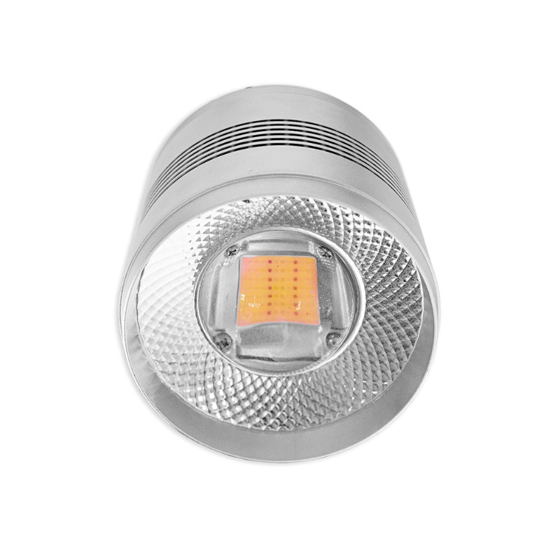 70W LED Aquarium Light for Fre - Planted Aquarium Algae Control 评论和价格