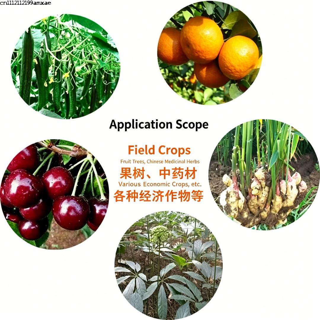 High Activity Bacillus Subtili - Aquarium Plant Fertilizer 评论和价格