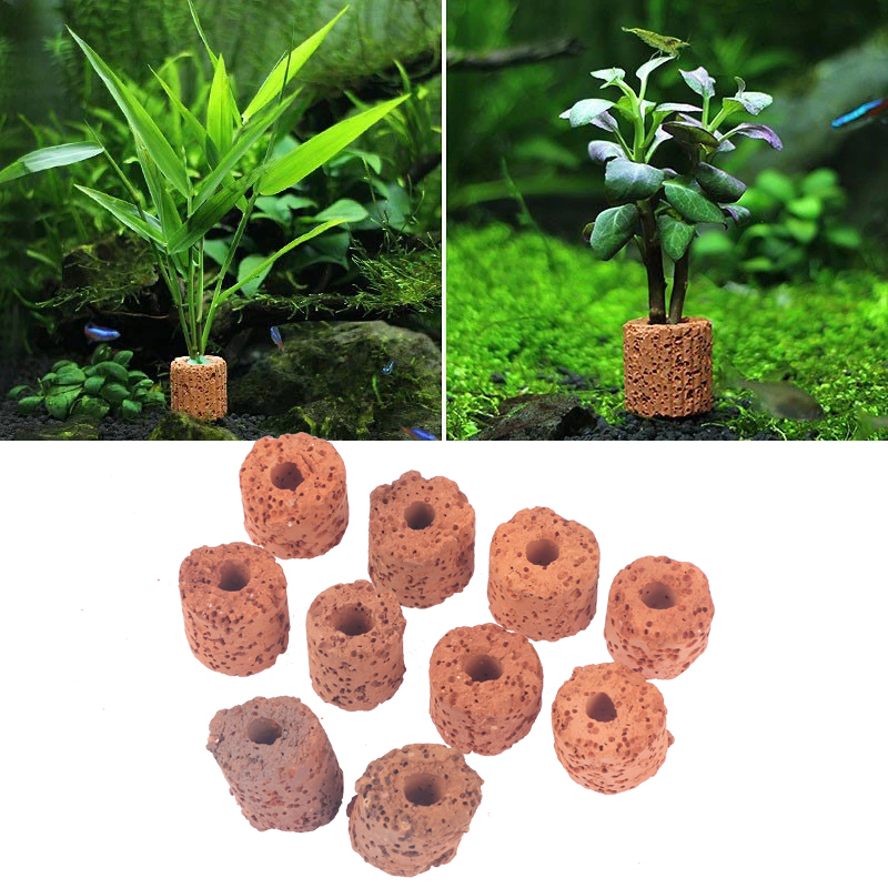 10Pcs Mini Aquatic Plant Ring  - Aquarium Planted Tank Setup 评论和价格
