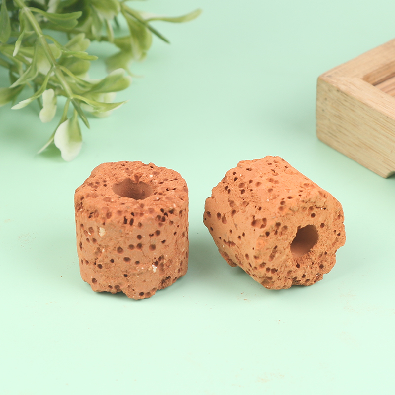 10Pcs Mini Aquatic Plant Ring  - Aquarium Planted Tank Setup 评论和价格