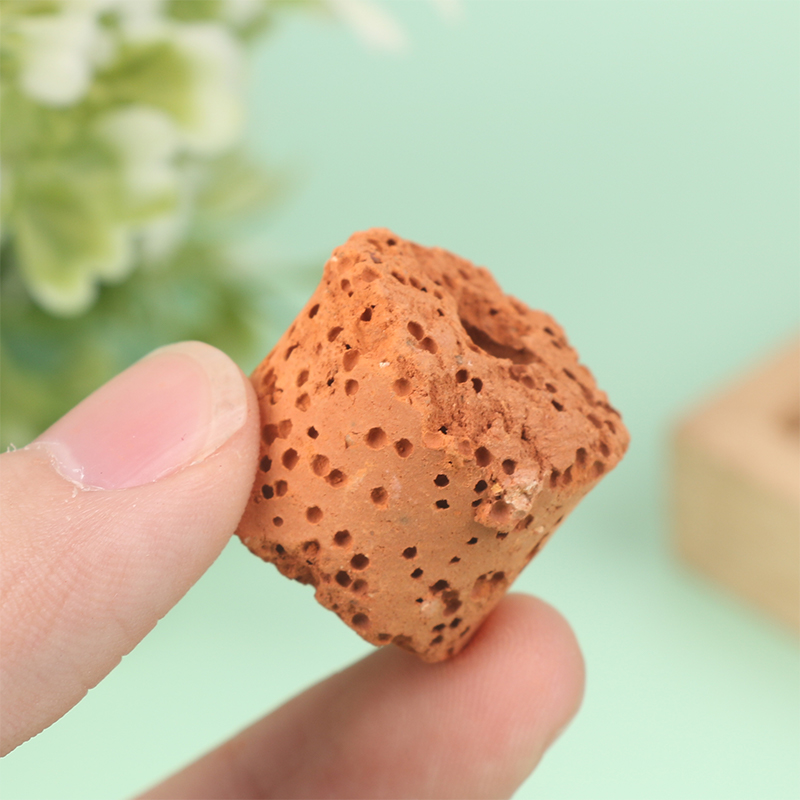 10Pcs Mini Aquatic Plant Ring  - Aquarium Planted Tank Setup 评论和价格