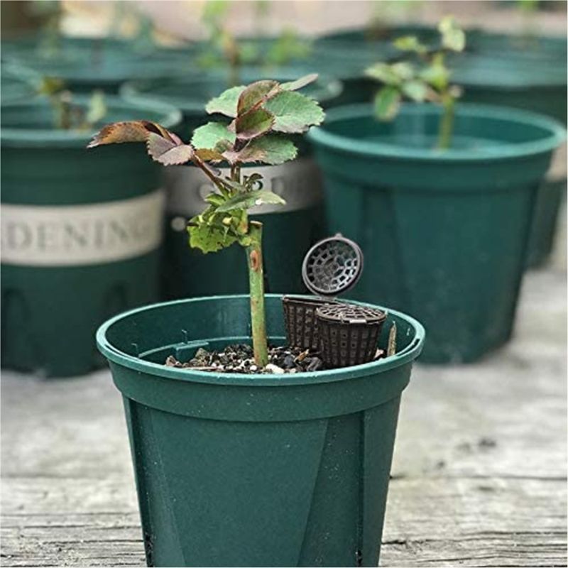 ABUH-Garden Nursery Fertilizer - Aquarium Plant Fertilizer 评论和价格