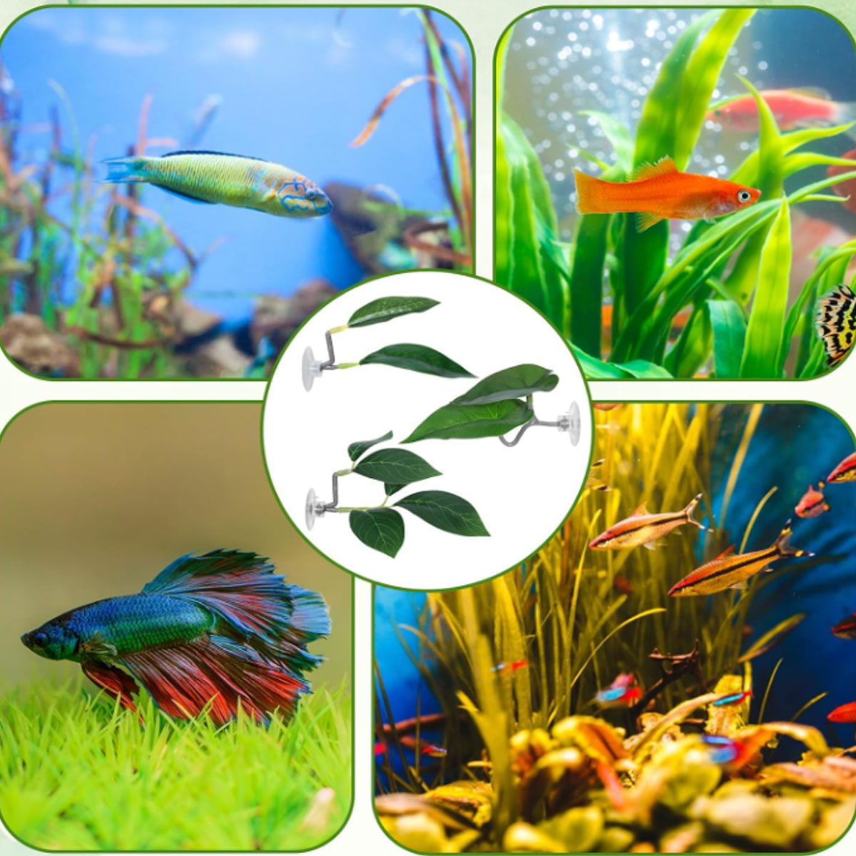 1 PC Betta Fish Hammock Soft A - Aquarium Plant Ornament 评论和价格