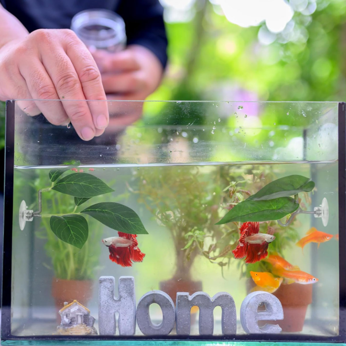 1 PC Betta Fish Hammock Soft A - Aquarium Plant Ornament 评论和价格