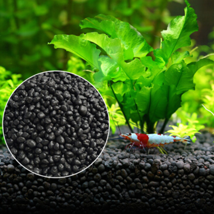 Aquarium Plant Seeds Soil Fish - Aquarium For Planted Tank 评论和价格