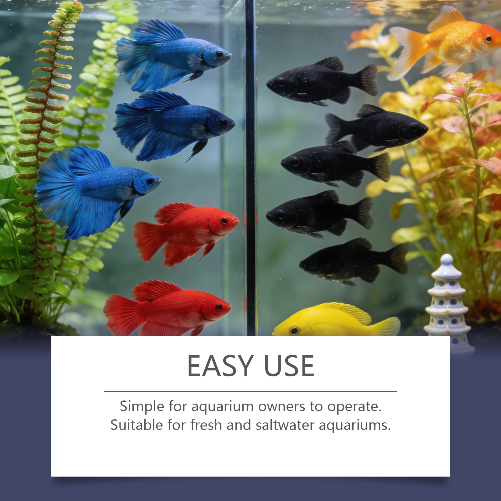 Algae Remover Tablets for Aqua - Planted Aquarium Algae Control 评论和价格