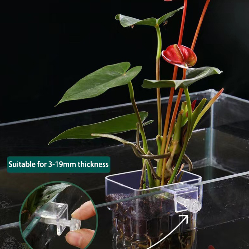 Multifunctional Fish Aquarium  - Aquarium For Planted Tank 评论和价格