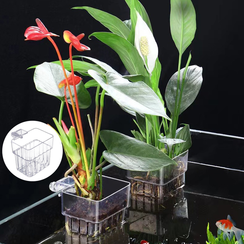 Multifunctional Fish Aquarium  - Aquarium For Planted Tank 评论和价格