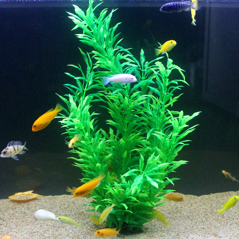 50CM Artificial Fish Tank Rare - Aquarium For Planted Tank 评论和价格