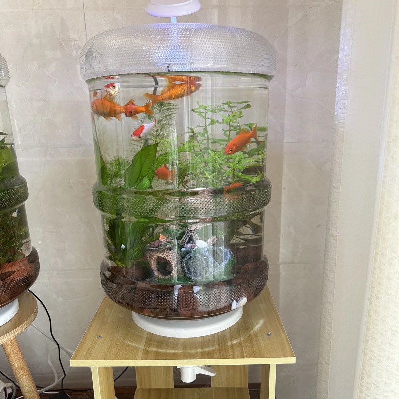 Instant Setup Home Fish Tank 3 - Aquarium Planted Tank Setup 评论和价格