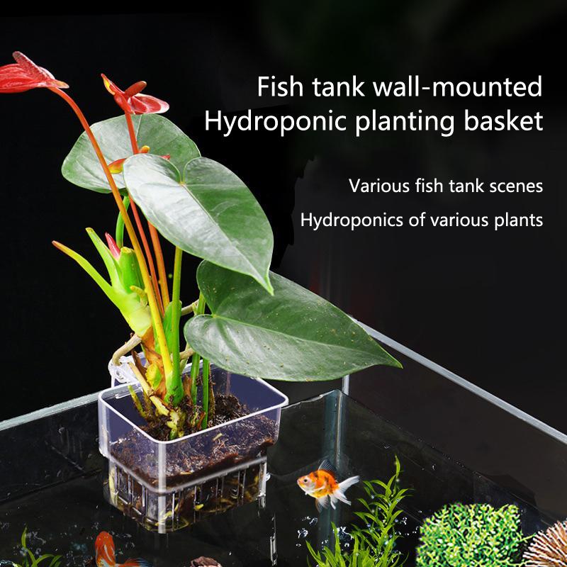 Aquarium Hydroponic Planting C - Aquarium Planted Tank Setup 评论和价格