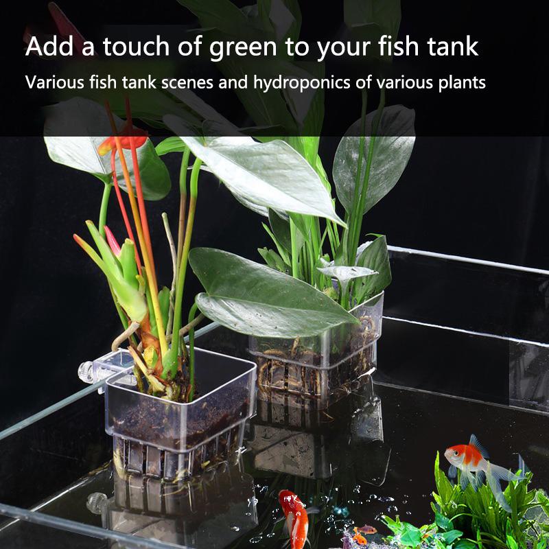 Aquarium Hydroponic Planting C - Aquarium Planted Tank Setup 评论和价格