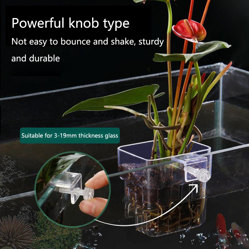 Aquarium Hydroponic Planting C - Aquarium Planted Tank Setup 评论和价格